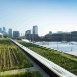 Sustainability Grounded in Foodservice Experience