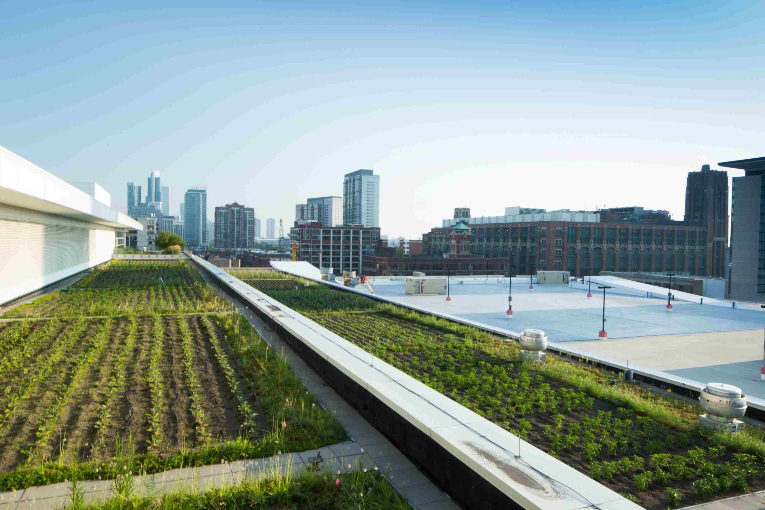 Sustainability Grounded in Foodservice Experience